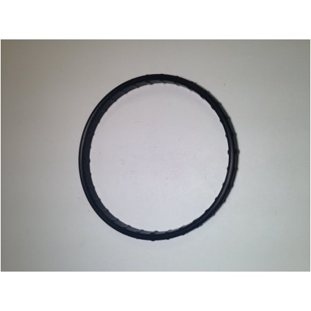 Kohler O-Ring (Hdac Seal-Efi) 24 153 31-S